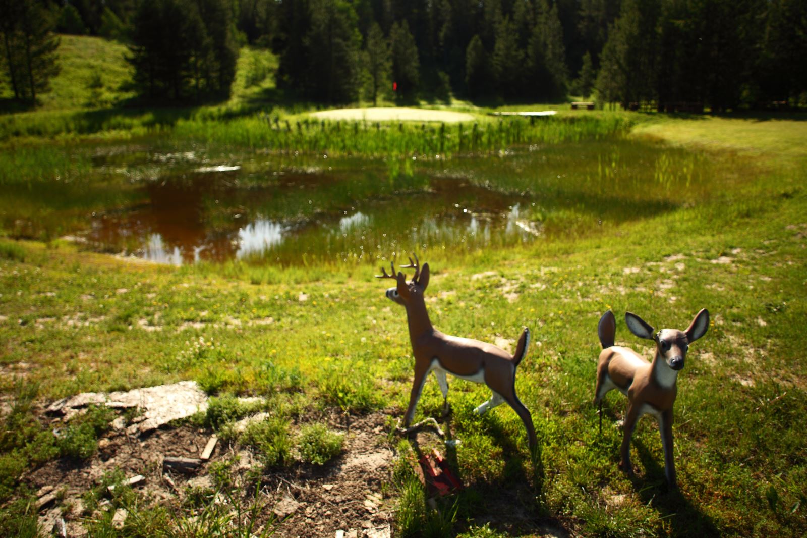 Playing the High Country